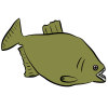 Yellow Piranha