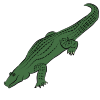 Green Alligator