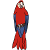 Macaw