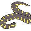 Gold-Ringed Cat Snake