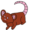 Brown Mouse