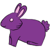 Purple Bunny