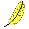 Yellow Feather