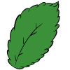 Serrated Leaf
